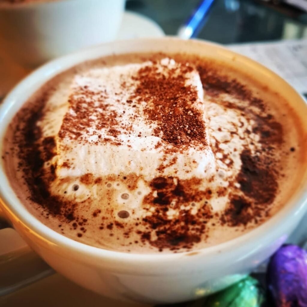 Photograph of a hot chocolate from Locomotive Station Tascott. The image displays the top of a cup with creamy milk, chocolate powder and a square of house made marshmallow.