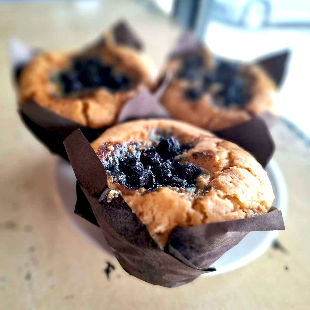 Three burnished blueberry muffins on a white plate in the morning sun. Tempting.