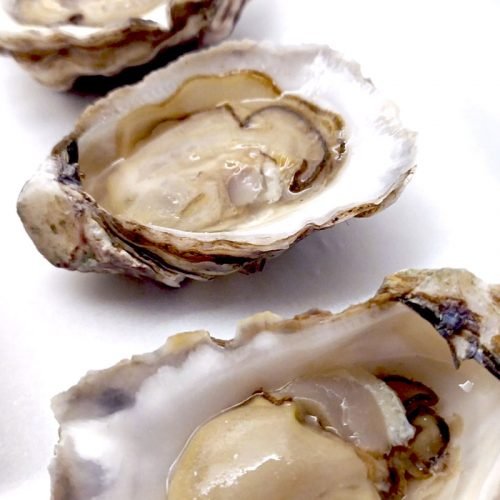 Freshly shucked oysters, home grown in Brisbane Water, served natural.